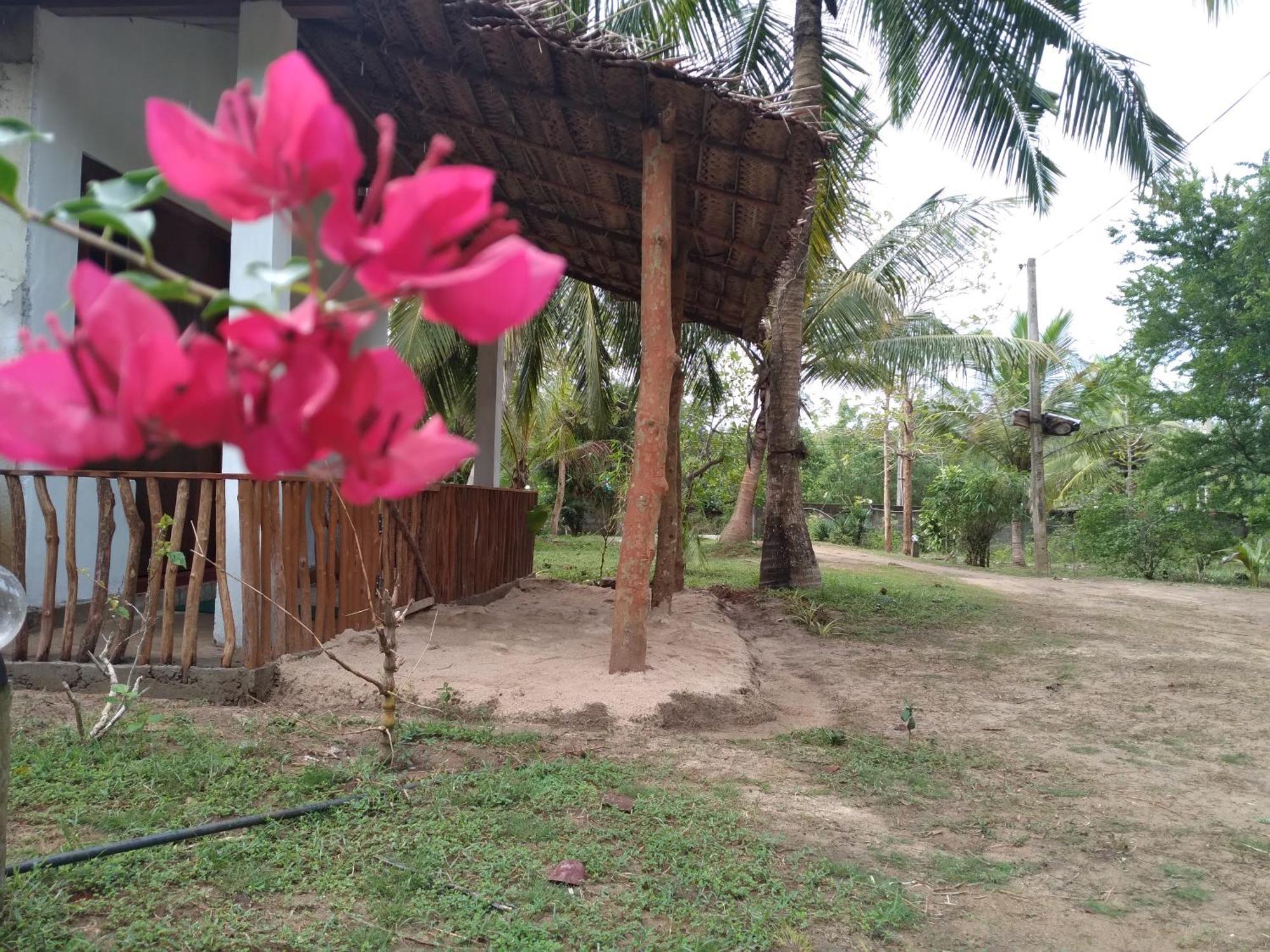 Soma Cabana, Homestay & Restaurant Tangalle Dış mekan fotoğraf