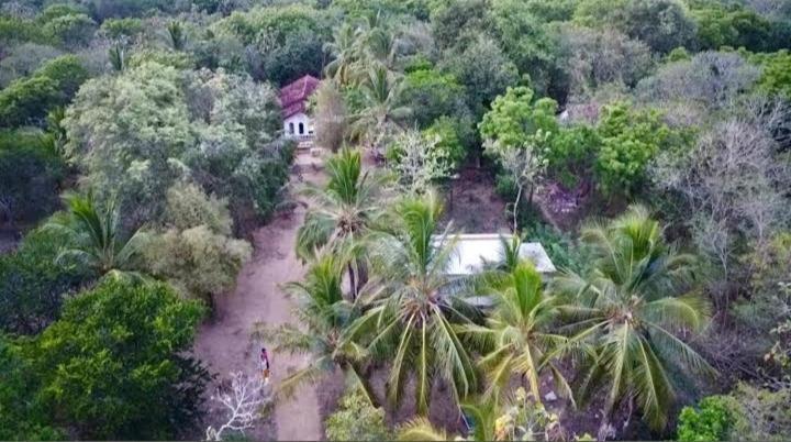 Soma Cabana, Homestay & Restaurant Tangalle Dış mekan fotoğraf