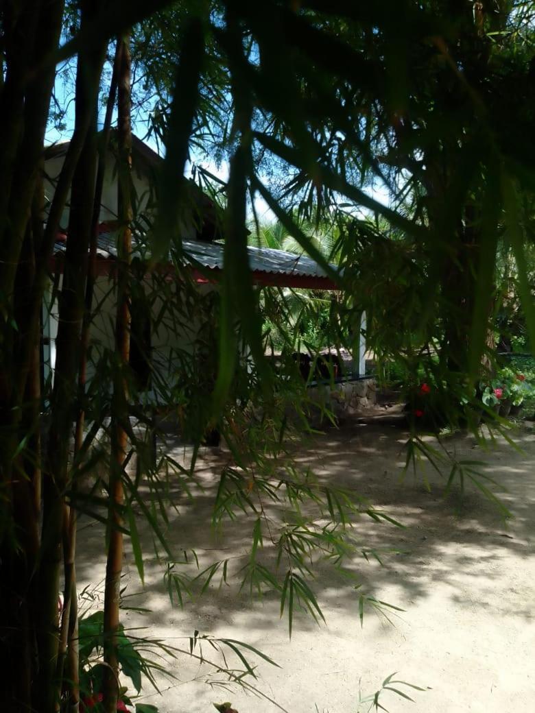 Soma Cabana, Homestay & Restaurant Tangalle Dış mekan fotoğraf