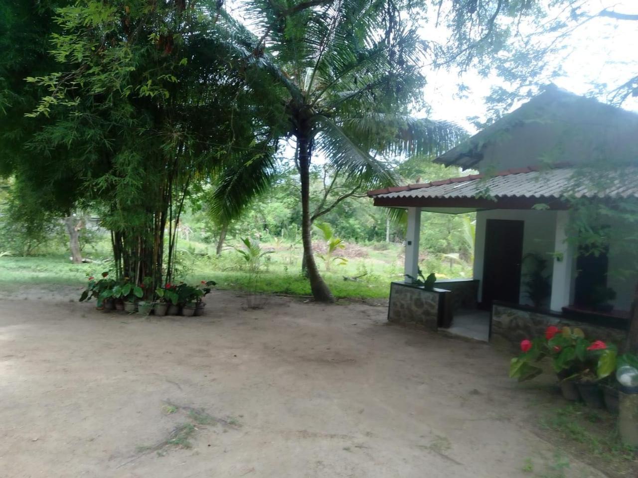 Soma Cabana, Homestay & Restaurant Tangalle Dış mekan fotoğraf