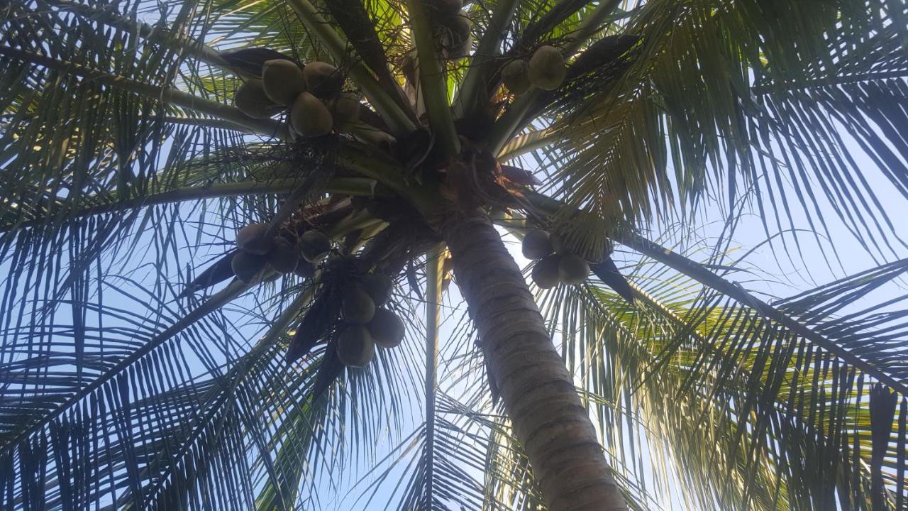 Soma Cabana, Homestay & Restaurant Tangalle Dış mekan fotoğraf